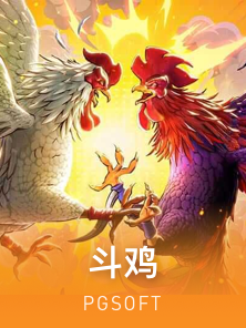 斗鸡